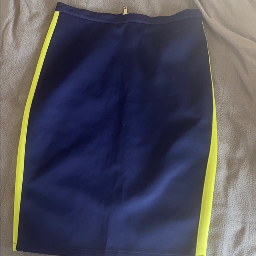 Seahawk colored pencil skirt